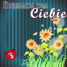 Various Artists: Biesiada dla ciebie Vol.3