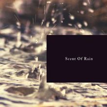 Nature Sounds: Scent of Rain