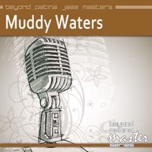 Muddy Waters: Rolling Stone