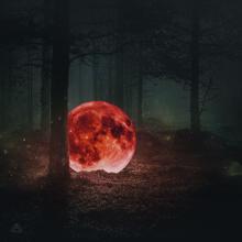 Maktub: Red Moon: The Piano Forest