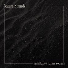 Nature Sounds: Meditative Nature Sounds
