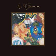 Mercury Rev: The Brook Room