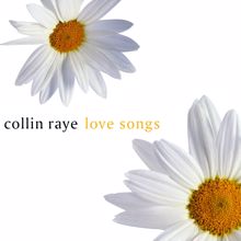 Collin Raye: I Volunteer (Album Version)