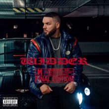 Fler: VIBE 2.0