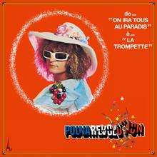 Michel Polnareff: Polnarevolution