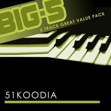 51 Koodia: Big-5: 51 Koodia