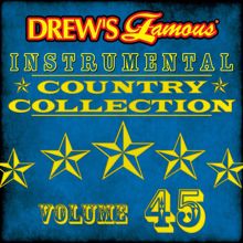 The Hit Crew: Drew's Famous Instrumental Country Collection (Vol. 45)