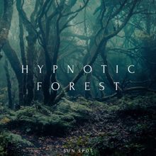 Sun Spot: Hypnotic Forest