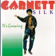 Garnet Silk: It's Growing