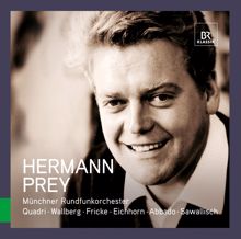 Hermann Prey: An die ferne Geliebte, Op. 98: No. 1. Auf dem Hugel sitz' ich, spahend