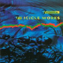 The Icicle Works: Love is a Wonderful Colour