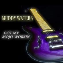 Muddy Waters: Got My Mojo Workin