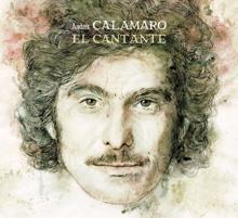 Andrés Calamaro: El cantante