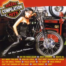 Various Artists: Bikers Hits Compilation: All The Small Things