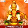 N Parthasarathy: Ayyappa Chalisa
