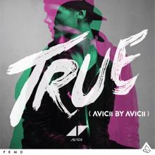 Avicii: Addicted To You