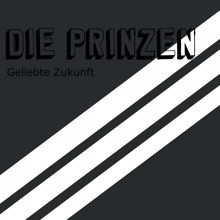 Die Prinzen: Geliebte Zukunft