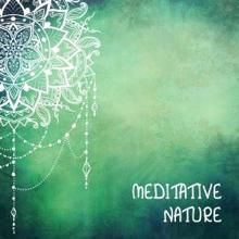 Nature Sounds: Meditative Nature