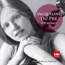 Jacqueline du Pré, English Chamber Orchestra, Daniel Barenboim: Haydn: Cello Concerto No. 1 in C Major, Hob. VIIb:1: I. Moderato