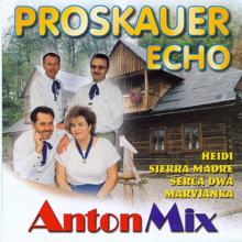 Proskauer Echo: Anton Mix VII