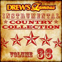 The Hit Crew: Drew's Famous Instrumental Country Collection (Vol. 36)
