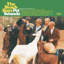 The Beach Boys: I Know There's An Answer