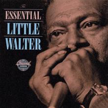 Little Walter: I Don't Play