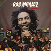 Bob Marley & The Wailers: Top Rankin'
