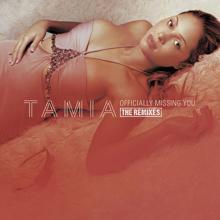 Tamia: Officially Missing You (U.S. CD Maxi Single Remixes)