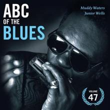 Muddy Waters: Walking Blues