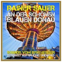 Rainer Sauer: An der schönen blauen Donau, Op. 314 (Kurze Version)