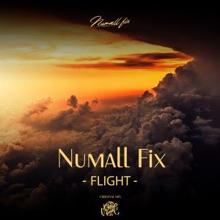 Numall Fix: Flight (Original Mix)