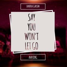 Xandra Garsem: Say You Won't Let Go