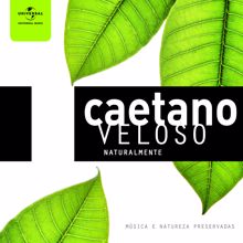 Caetano Veloso: Meia Lua Inteira