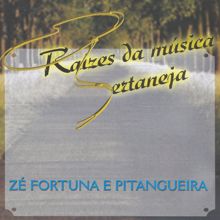 Zé Fortuna & Pitangueira: Sertão do viradô