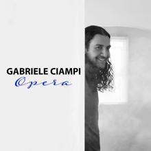 Gabriele Ciampi: Opera