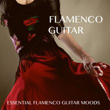 Various Artists: Flamenco Guitar