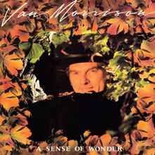 Van Morrison: A Sense of Wonder