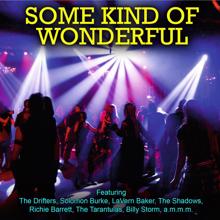 Various Artists: Some Kind of Wonderful