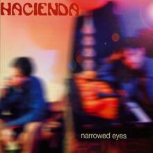 Hacienda: Narrowed Eyes