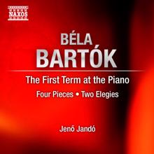 Jenő Jandó: The First Term at the Piano, BB 66*: No. 3. Parbeszed (Dialogue): Moderato