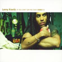 Lenny Kravitz: If You Can't Say No