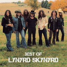 Lynyrd Skynyrd: You Got That Right