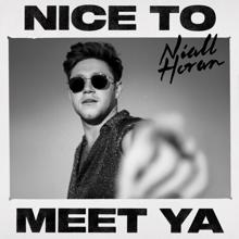 Niall Horan: Nice To Meet Ya
