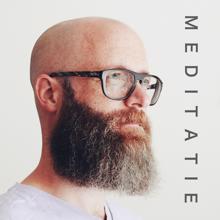 David: Meditatie