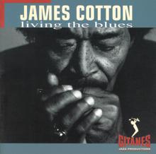 James Cotton: Cotton In The Kitchen (Album Version)