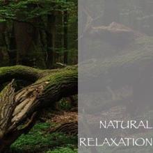 Nature Sounds: Natural Relaxation