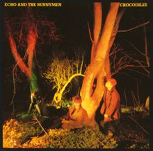 Echo And The Bunnymen: Crocodiles