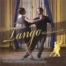 Tango Orchester Alfred Hause: Orchids in the moonlight