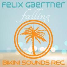 Felix Gaertner: Falling